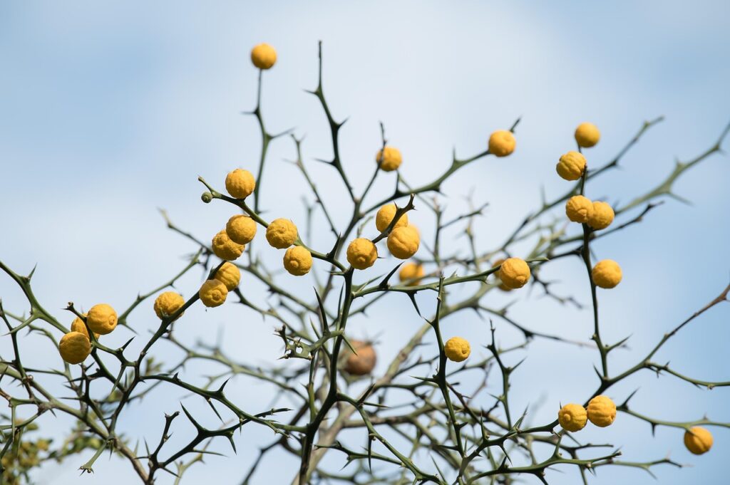 まつげ育毛に効果的なパソコン作業時の乾燥対策は？