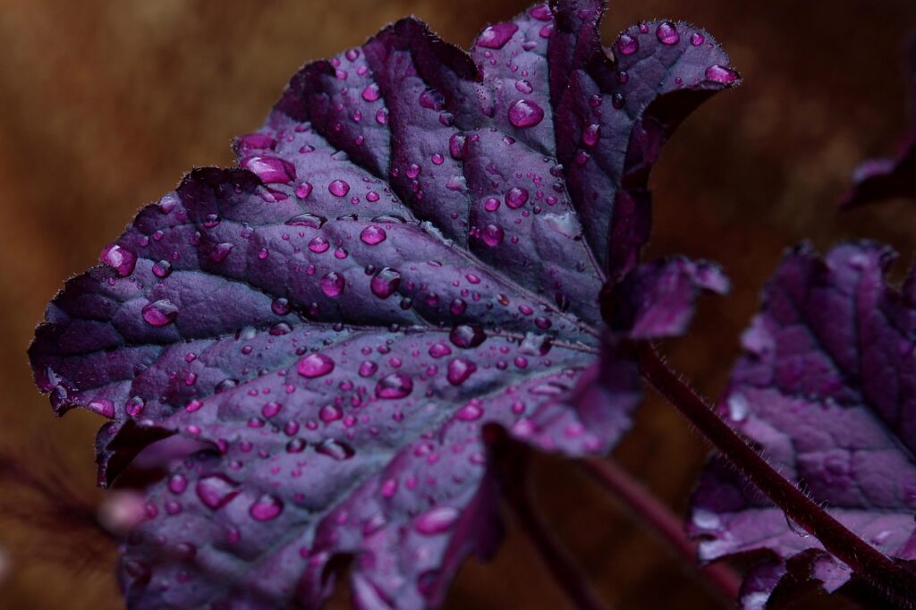 まつげを伸ばすための日本製美容液のおすすめは？