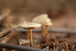 まつ毛育毛のために改善すべき生活習慣とは？