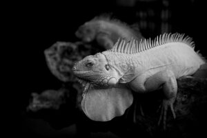 まつ毛育毛が続かない時の効果的な対策は？