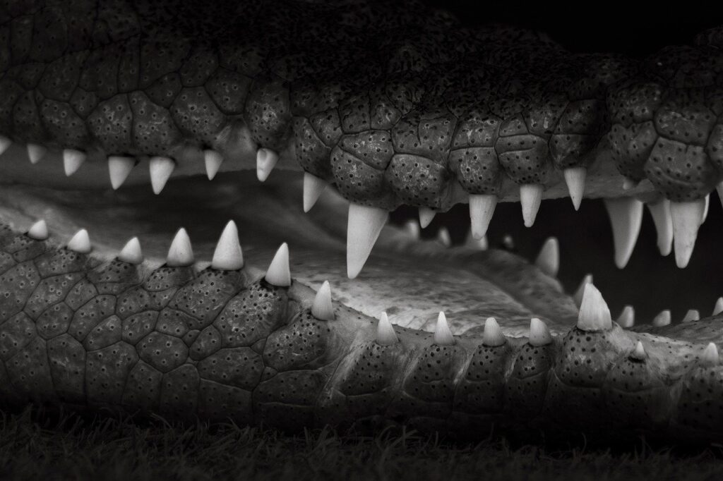 まつ毛育毛とマツエクの危険性について知っておくべきことは？