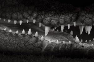 まつ毛育毛とマツエクの危険性について知っておくべきことは？