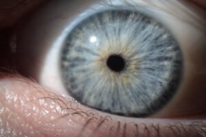 まつ毛育毛の始め方がわからないときに知っておくべきポイントは？