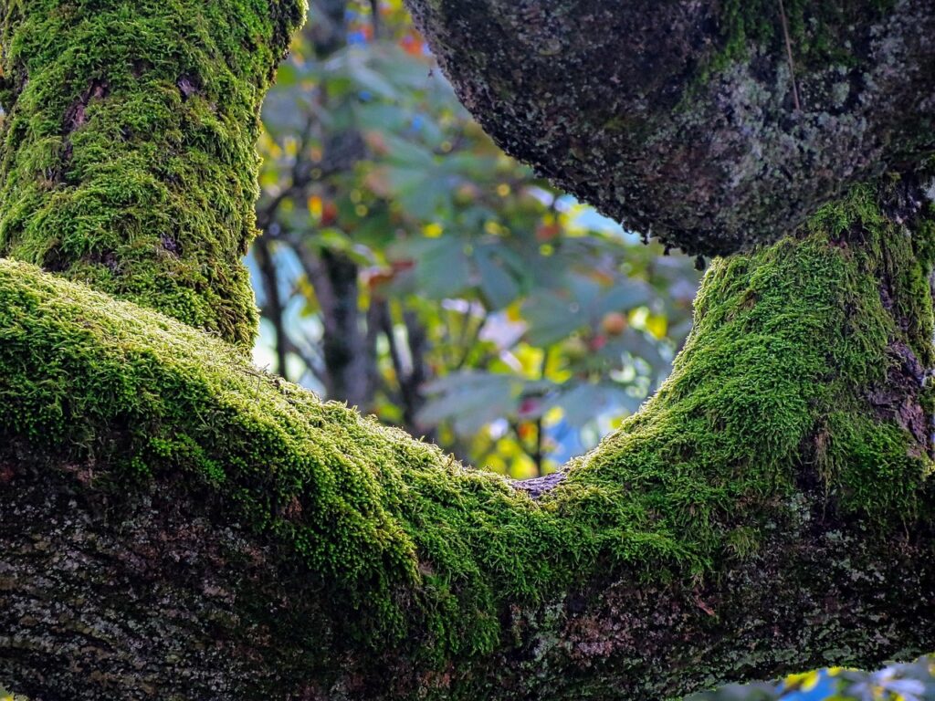 まつ毛育毛ケアにおける湿度の最適な管理方法は？