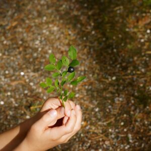 まつ毛を簡単に伸ばす方法とは？