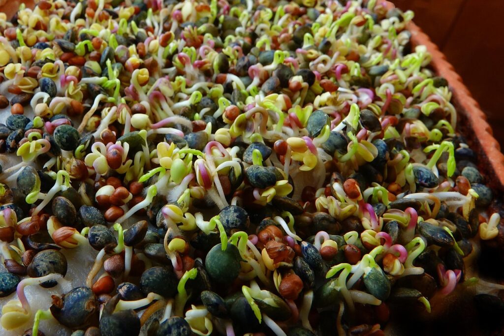 まつ毛を育毛するために食べるべき食べ物と伸びる栄養素は？