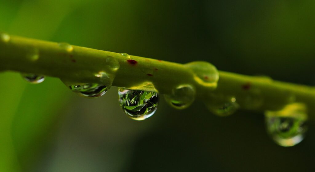 まつ毛育毛美容液の副作用や色素沈着について知っておくべきことは？
